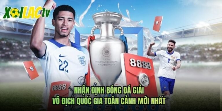 Nhận Định Bóng Đá Giải Vô Địch Quốc Gia Toàn Cảnh Mới Nhất