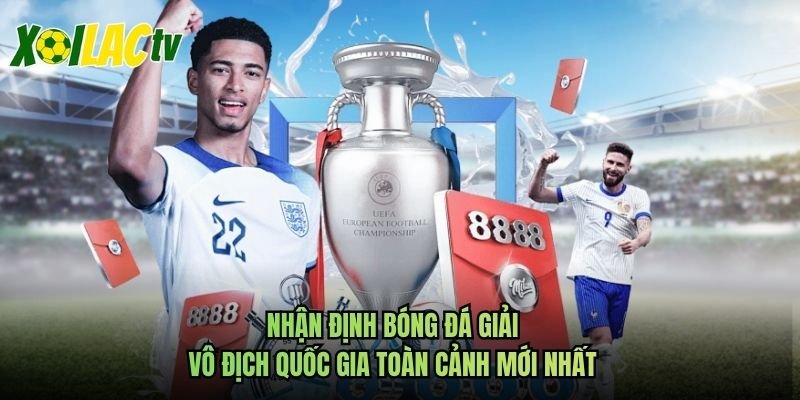 Nhận Định Bóng Đá Giải Vô Địch Quốc Gia Toàn Cảnh Mới Nhất