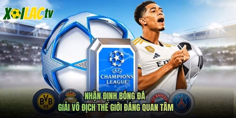 Nhận Định Bóng Đá Giải Vô Địch Thế Giới Đáng Quan Tâm