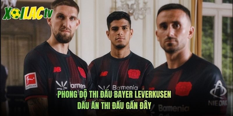 Phong Độ Thi Đấu Bayer Leverkusen – Dấu Ấn Thi Đấu Gần Đây